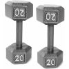 Barbell Cast Iron Dumbbell, 20 Lb. Pair