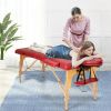 Portable Adjustable Facial Spa Bed with Carry Case